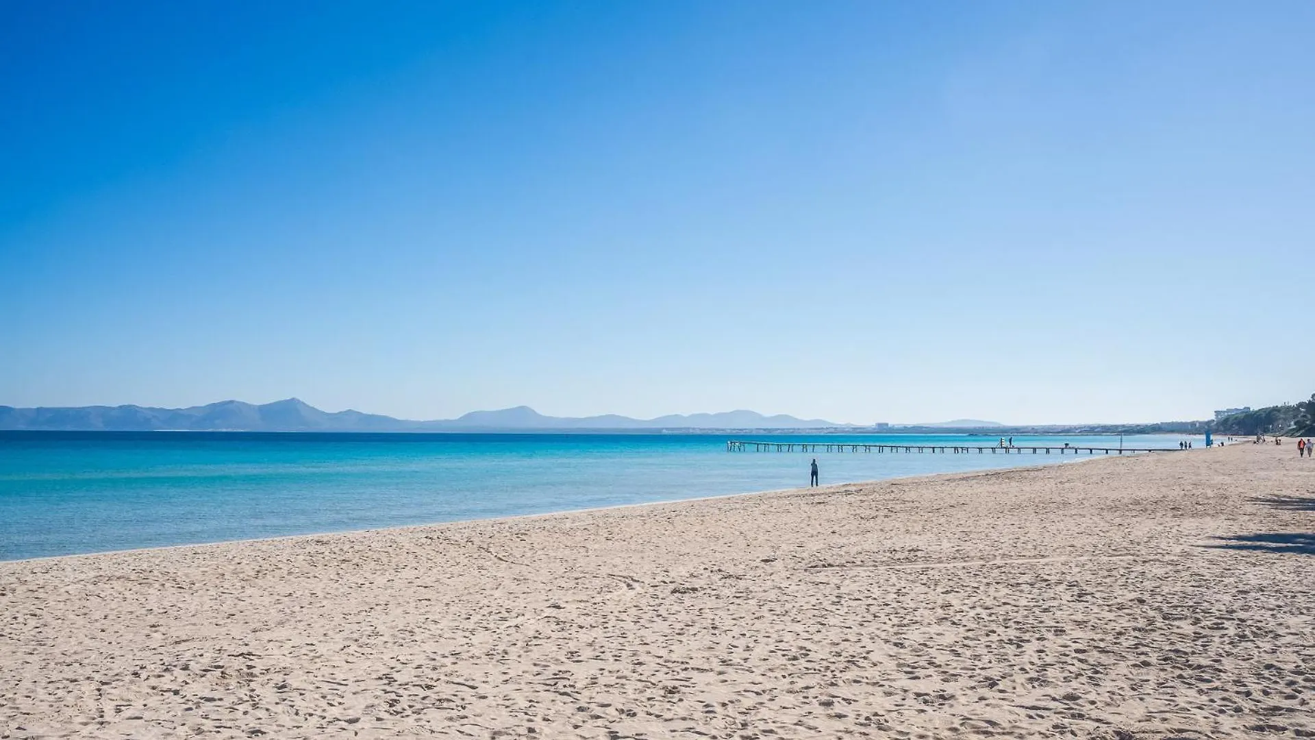 Ideal Property Mallorca - Blue Bay アルクディア アパート